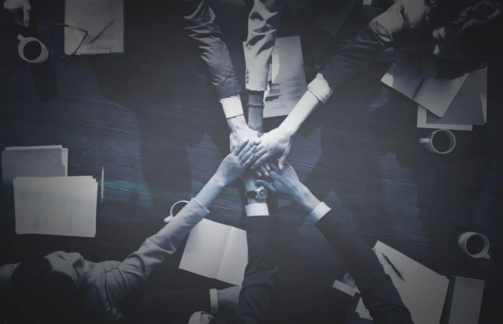 How to Choose a Digital Performance Agency