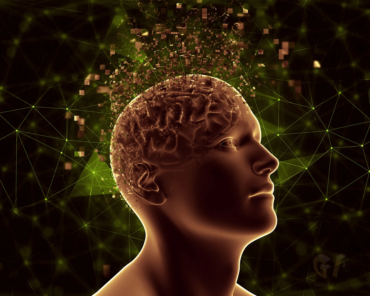 Googles NLP-Algorithmen und ihre Auswirkungen auf Websites